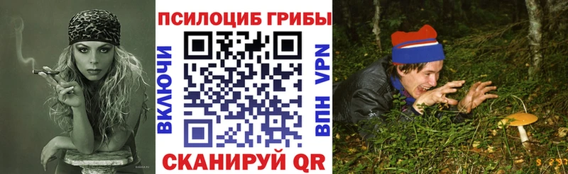 купить закладку  Ленинск-Кузнецкий  OMG как войти  Галлюциногенные грибы Psilocybe 